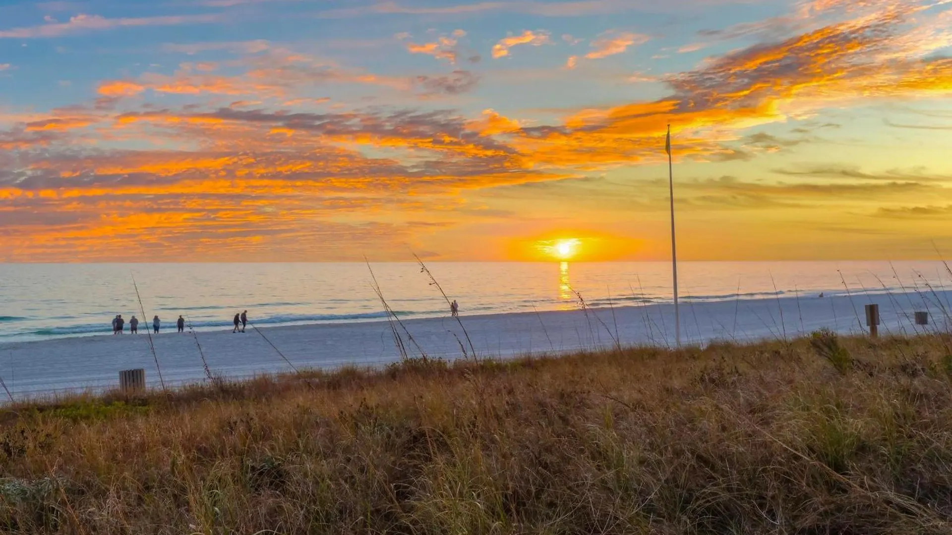 Splash Beach Resort By Panhandle Getaways Panama City Beach Apartment